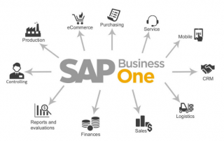 SAP Business One on HANA platform SAP Business One on HANA platform