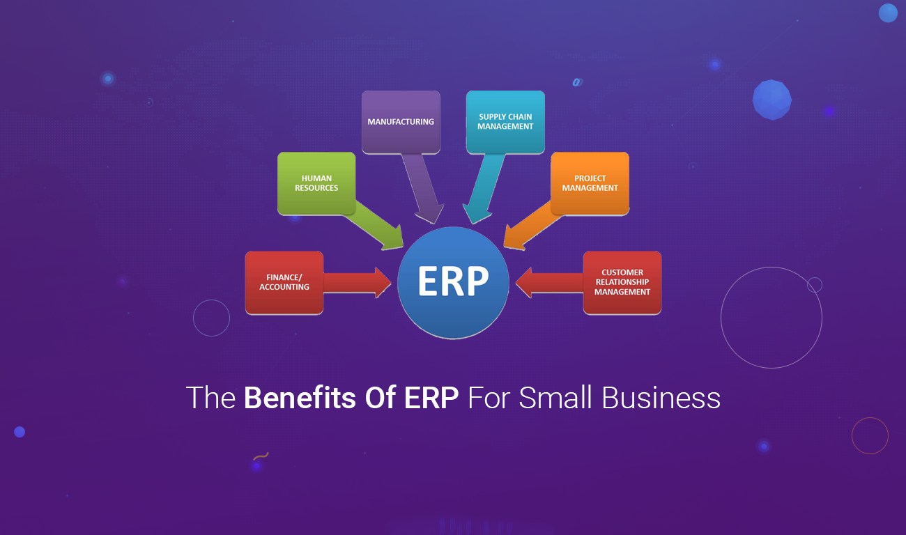 ERP for Small Business